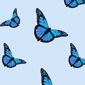 Meet your Posher, Rebecka